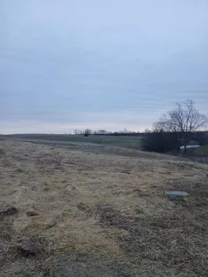 an open field with a field with trees in it at A Million Dollar View in Owenton