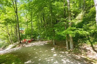 a dirt road in a forest with trees at Beary Secluded- No Pet Fee, Hot Tub, Firepit, WiFi in Slade