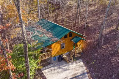a cabin in the woods with a green roof at Cozy Canopy- Hot Tub, Firepit, Covered Deck, WiFi in Stanton