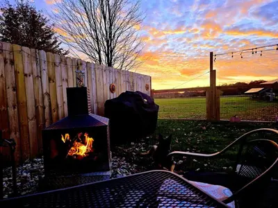 a cat sitting next to a fire in a backyard at Hot Tub & Firepit Your Winter Blues Retreat in Amherst