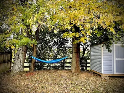 a blue hammock hanging between two trees in a yard at Spacious King Suite, Horses, Fire Pit, Garage in Lexington