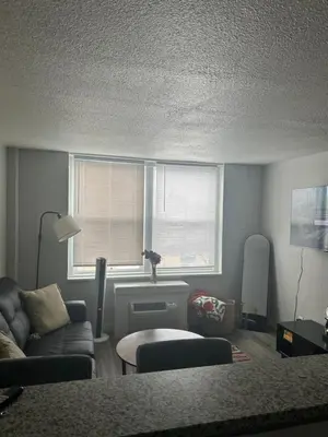 a living room with a couch and a window at Cozy 1 bedroom apartment near downtown Cincinnati in Cincinnati
