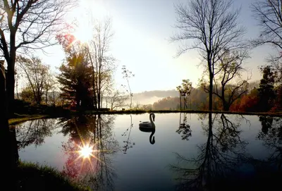 a swan swimming on a pond with the sun setting at Aniyor Apartment Loft