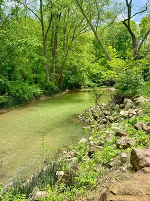 a river with green water and trees and rocks at Walnut Creek Cabin in Chillicothe