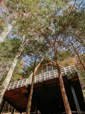 a house with a deck in the middle of trees at Hillside Haven Treehouse Cabin in Rockbridge