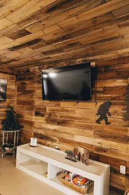 a living room with a wooden wall with a flat screen tv at The Rustic Triangle A-Frame in Perrysville