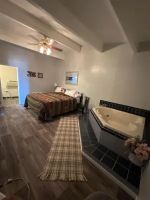 a bedroom with a bed and a bath tub next to a bed sidx sidx sidx at Tecumseh Inn & Suites in Tecumseh