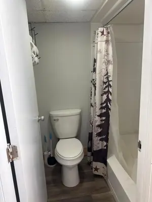 a bathroom with a toilet and a shower curtain at Tecumseh Inn & Suites in Tecumseh