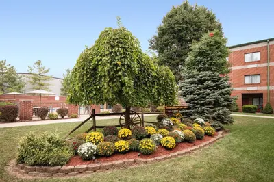 a garden with a tree and flowers in a yard at River Bluff Hotel and Conference Center in Mineralwells