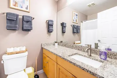 a bathroom with a sink and a toilet and a mirror at Cleveland Loft/Wolstein/Progressive/Playhouse/CSU in Cleveland