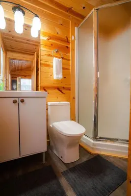 a bathroom with a toilet and a shower at Deer Run Retreat Villa in Bidwell