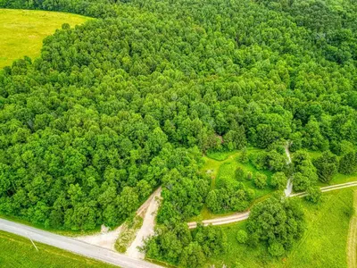 an aerial view of a forest with a road at Havenridge in Logan