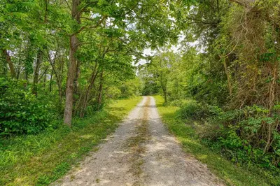 a dirt road in the middle of a forest at Havenridge in Logan