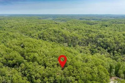 a red pin in the middle of a forest at ForgetMeNot in Wellington