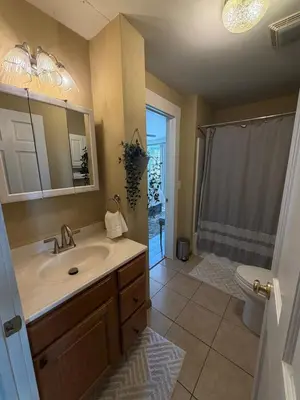 a bathroom with a sink and a shower and a toilet at The Study in Chillicothe