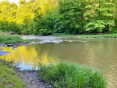 a river with rocks in the water and trees at Vintage, Mid-Century Suite above Antique Store in Wakeman