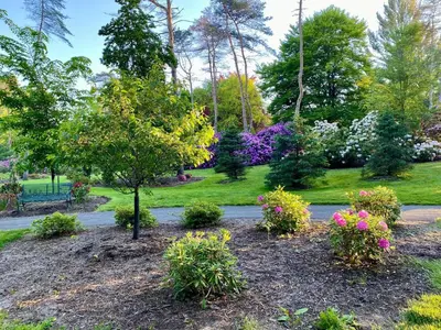 a park with flowers and a tree and a bench at Spacious King Bed Suite at Antique Store in Wakeman