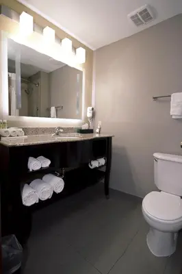 a bathroom with a sink and a toilet and a mirror at Holiday Inn Express Adrian by IHG in Adrian