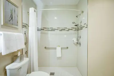 a bathroom with a shower with a white toilet at DoubleTree by Hilton Huntington, WV in Huntington