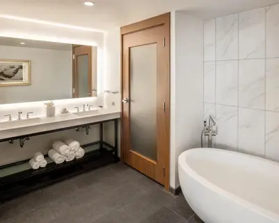 a bathroom with a tub and a sink and a mirror at Hilton Cleveland Downtown in Cleveland