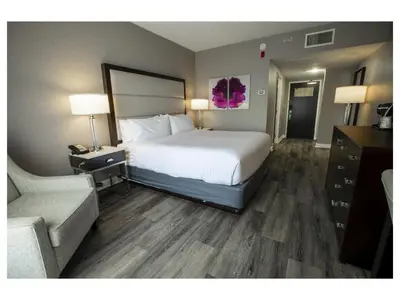 a hotel room with a large bed and a couch at Holiday Inn Wilmington by IHG in Gurneyville