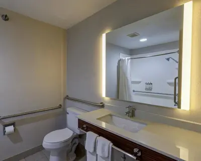 a bathroom with a toilet and a sink and a mirror at Holiday Inn Express & Suites Shelbyville Indianapolis by IHG in Shelbyville