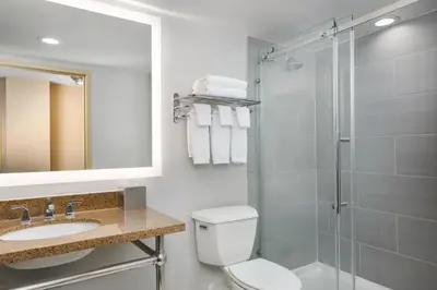 a bathroom with a shower and a toilet and a sink at DoubleTree by Hilton Cincinnati Airport in Hebron
