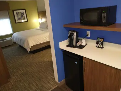 a hotel room with a bed and a tv on a counter at Holiday Inn Express Hotel & Suites Madison by IHG in Madison