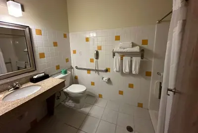 a bathroom with a toilet and a sink and a shower at Wingate by Wyndham Newell in Newell