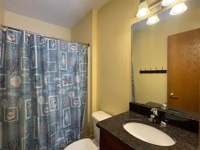 a bathroom with a sink and a shower curtain at Put-in-Bay Poolview Condo #5 in Put-in-Bay