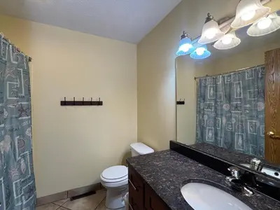 a bathroom with a sink and a toilet and a shower at Put-in-Bay Poolview Condo #5 in Put-in-Bay