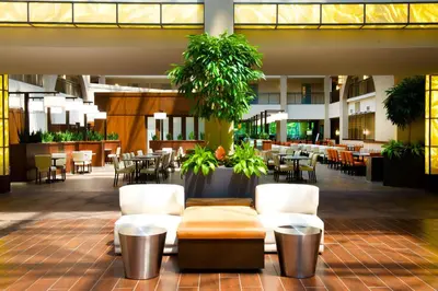a restaurant with white chairs and tables and plants at Embassy Suites by Hilton Cincinnati Northeast - Blue Ash in Blue Ash