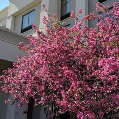 Hampton Inn & Suites Cincinnati-Union Centre