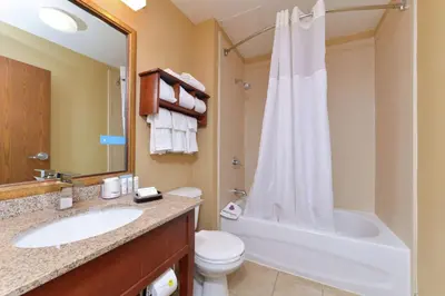 a bathroom with a sink and a toilet and a shower at Hampton Inn Columbus-East in Pickerington