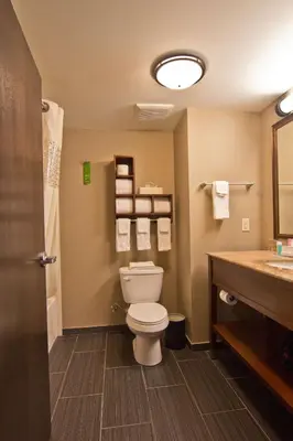 a bathroom with a toilet and a sink at Hampton Inn Columbus-South in Grove City