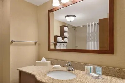 a bathroom with a sink and a large mirror at Hampton Inn Cincinnati Kings Island in Mason