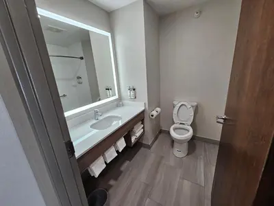 a bathroom with a sink and a toilet and a mirror at Holiday Inn Express Hotel & Suites Cincinnati-Blue Ash by IHG in Blue Ash