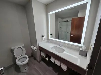 a bathroom with a toilet and a sink and a mirror at Holiday Inn Express Hotel & Suites Cincinnati-Blue Ash by IHG in Blue Ash