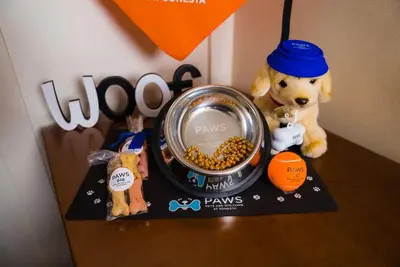 a stuffed bear sitting next to a bowl of dog food at Sonesta Simply Suites Cleveland North Olmsted Airport in North Olmsted