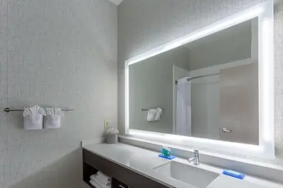 a bathroom with a sink and a large mirror at Holiday Inn Express Columbus - Ohio Expo Center by IHG in Columbus