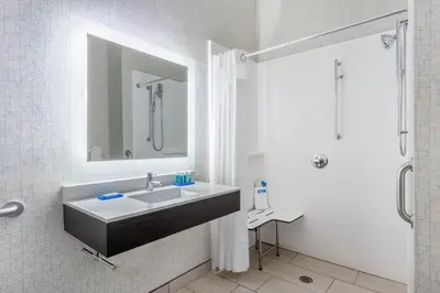 a bathroom with a sink and a mirror and a shower at Holiday Inn Express Columbus - Ohio Expo Center by IHG in Columbus
