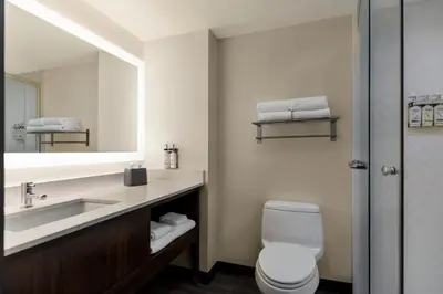 a bathroom with a toilet and a sink and a mirror at Holiday Inn Columbus-Hilliard by IHG in New Rome