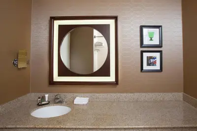 a bathroom with a sink and a mirror at Sheraton Pittsburgh Airport Hotel in Coraopolis