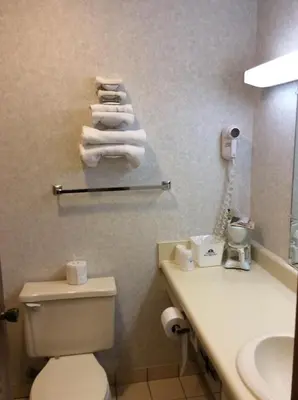 a bathroom with a toilet and a sink and towels at Americas Best Value Inn of Decatur in Decatur