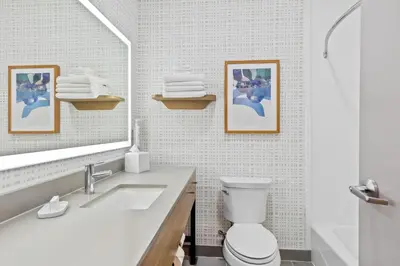 a bathroom with a sink and a toilet and a mirror at Hampton Inn Akron-Fairlawn in Montrose