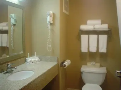 a bathroom with a sink and a toilet and a mirror at Holiday Inn Express Hotel & Suites Delaware-Columbus Area by IHG in Sunbury