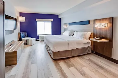 a hotel room with a large bed and a tv at Holiday Inn Express Hotel & Suites Ohio State University- OSU Medical Center by IHG in Columbus