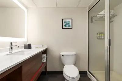 a bathroom with a toilet and a sink and a shower at Holiday Inn Florence by IHG in Florence