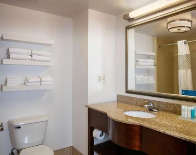 a bathroom with a sink and a mirror and a toilet at Hampton Inn & Suites Toledo-Perrysburg in Rossford