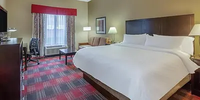 a hotel room with a large bed and a desk at Holiday Inn Express Hotel & Suites Bowling Green by IHG in Bowling Green